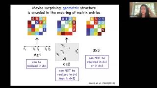 Carina Curto 090823 Using topology to study the geometry of neural correlations [upl. by Johnette874]