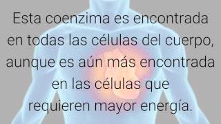 Beneficios del CoQ10 y Su Importancia Para el Cuerpo [upl. by Fontana]