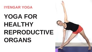 Yoga for healthy reproductive organs  Iyengar Yoga [upl. by Feldstein]