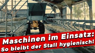 EinstreuRoutine im Kuhstall Maschinenpower amp Handarbeit für gesunde Kühe  My KuhTube Film 480 [upl. by Atina263]