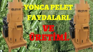 🍀 yonca pelet makinası yonca pelet faydaları [upl. by Hayifas]