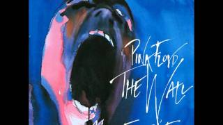 Pink Floyd The Wall Music From The Film  20 Comfortably Numb [upl. by Eki]