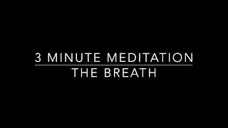 Yoga with Brigitte  3 Minute Meditation  The Breath [upl. by Euh]