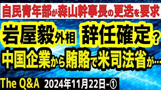 岩屋毅外相終了か？中国企業から賄賂で米司法省が…大スキャンダルに？／自民青年部、森山幹事長の更迭を要求 ①【The QampA】1122 [upl. by Kask530]