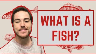 Ichthyology Lesson 1  What Is A Fish [upl. by Anilesor]