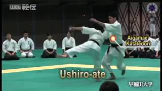 DEMONSTRATION TOMIKI AIKIDO [upl. by Spragens]