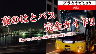 【東京観光】「夜のはとバス完全ガイド」レインボーブリッジ＆東京ゲートブリッジ 53 [upl. by Eniruam237]