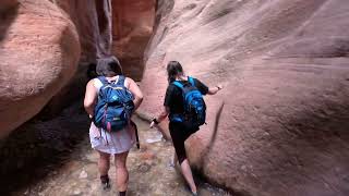 Kanarra Falls The Ultimate Waterfall Hike in Utah Shorts Hiking gopro [upl. by Aimerej]