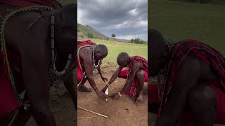 Masai Mara tribe teach how to make fire masaimara maasaimara maasaitribe [upl. by Lichter]