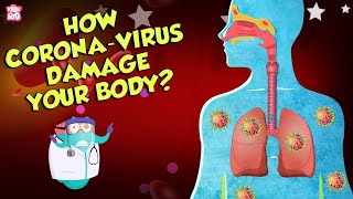 How Corona Virus Affects Your Body  COVID19  The Dr Binocs Show  Peekaboo Kidz [upl. by Patman104]