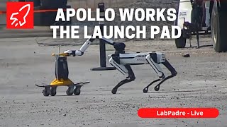 Apollo Bot Works The Launch Pad [upl. by Odeen]