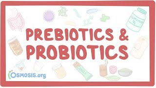 Prebiotics amp probiotics [upl. by Leede701]