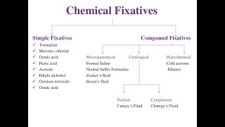 تحضير عينات Fixatives in Histopathology [upl. by Boykins713]