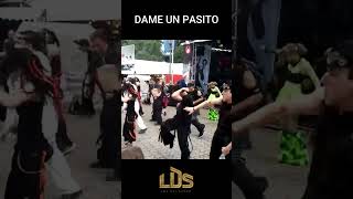 Darketos Bailando Dame un pasito LDS [upl. by Merci]