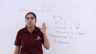 Class 12th – Representation of Vectors  Vector Algebra  Tutorials Point [upl. by Albie778]