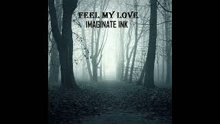 Feel My Love  Imaginate Ink Official Video [upl. by Ensoll442]