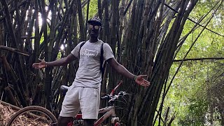 Parc national du Banco en Côte d’Ivoire 🇨🇮 [upl. by Sutherland]