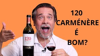 VINHO 120 CARMÉNÈRE RESERVA ESPECIAL É BOM [upl. by Quartana]