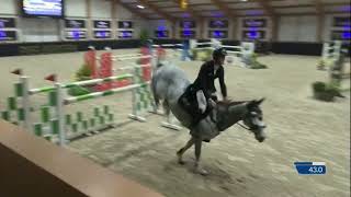 Karonia L 9 YO 145m LR 🌍 First round 2 Peelbergen 🇳🇱 [upl. by Debbee]