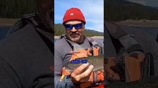 Landed one 🎣 Trolling shallow trolling FishingThrills BigCatch fishing trout [upl. by Hayidah]