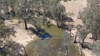 Loddon River  camping and fishing for Murray Cod [upl. by Enovi]