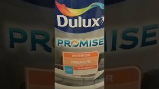 Dulux PROMISE paints wallartisthd dulux painting aqua [upl. by Tilney]