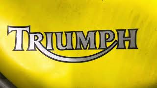 Triumph 955i project Yell How Restoration [upl. by Lantha772]