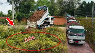 Starting A New Landfill Project Take Out The Green Grass Use A 5 t Truck Overload And A Mini dozer [upl. by Fillian]