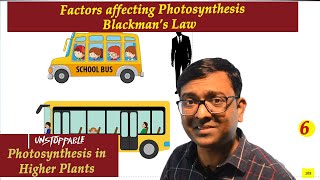 Factors affecting Photosynthesis amp Blackmans law I NEET I Dr Kunal KT [upl. by Mihar]