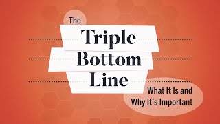 What Is the Triple Bottom Line  Business Explained [upl. by Ailbert704]