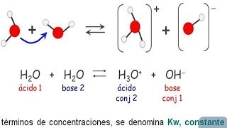 Autoionización del Agua  Química Equilibrio Iónico Ejemplos [upl. by Ennad]