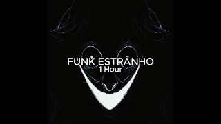 FUNK ESTRANHO  1 Hour [upl. by Acinorej236]