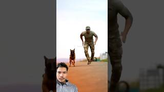 High skills K9 training military heroic k9 soldier doglover dog [upl. by Kosse]