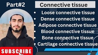 Connective tissuedetail lecture of connective tissue [upl. by Becht]