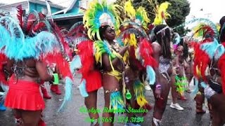 Trinidad Carnival 2017 Part 7 [upl. by Narhem858]