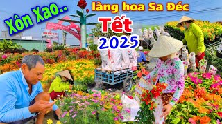 Xôn xaoquot Tết 2025quot làng hoa Sa Đéc quotBùng Nổquot nhiều giống hoa mới lạ đón Xuân Ất Tỵ [upl. by Querida]