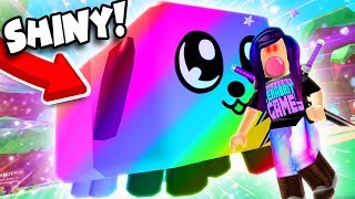 SHINY RAINBOW DOGCAT SECRET PET 🐶🐱 Roblox Bubble Gum Simulator [upl. by Verge]