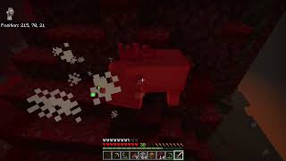 Jellys Minecraft World Ep21 [upl. by Almira]