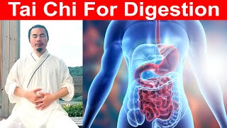 Tai Chi Moves for Better Digestion Boost Your Gut Health Naturally  Taichi Zidong [upl. by Obla18]