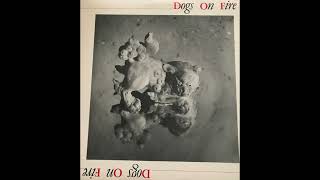 Dogs On Fire  Dogs On Fire 1983 Full Album New Wave Alternative Rock Indie Rock [upl. by Hildebrandt]