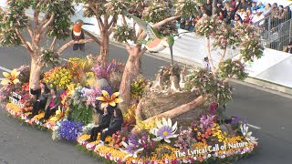 Torrance Rose Parade Float [upl. by Ttekcirc]