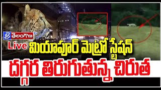 మెట్రో స్టేషన్‌లో చిరుత  Leopard at Miyapur Metro Station  jai telangana tv [upl. by Namhcan]