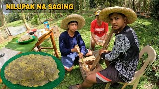 MINOKMOK NA SABA NA TUMBA NG BAGYO [upl. by Nate]