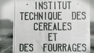 ARVALIS – Institut du végétal a 60 ans  ARVALISinfosfr [upl. by Velasco]