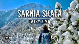 Sarnia Skała  Tatry zimą  Dolina Strążyska Ścieżka nad Reglami 05042021 [upl. by Christiana737]