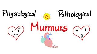 Physiological Murmurs vs Pathological Murmurs  Comparisons [upl. by Selina114]