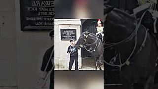 Kingsguard Horse bites police called [upl. by Jennilee379]