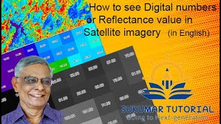 How to see Digital numbers or Reflectance values of different bands of Satellite imagery in QGIS [upl. by Lois]