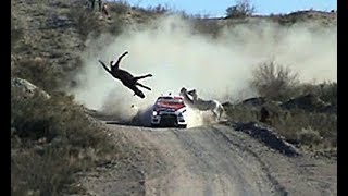 Los accidentes del Rally Dakar 2018 [upl. by Laurene]