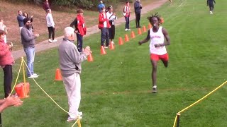 Brookline vs Milton vs Natick  Boys Varsity XC Race [upl. by Onileba]